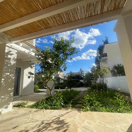 Octopusgarden Porto Cheli